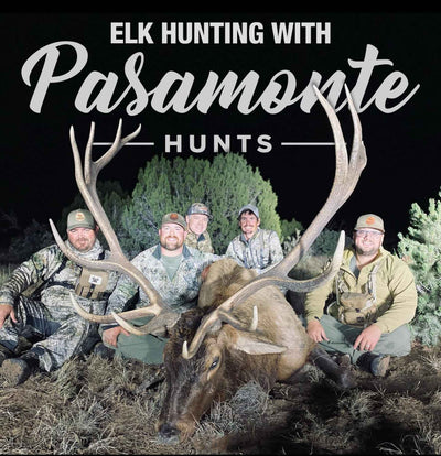 Elk Hunting at Pasamonte Hunts